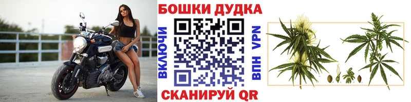 Канабис ГИДРОПОН  ссылка на мегу онион  Медногорск 